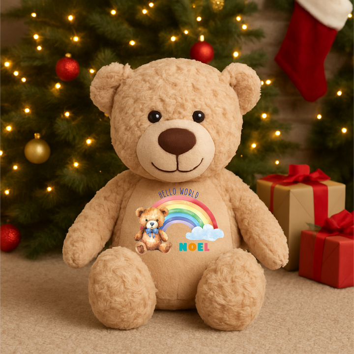 Personalised Hello World Rainbow Large Bear