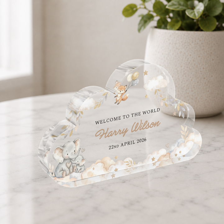 Personalised Welcome to the World Cloud Plaque Keepsake