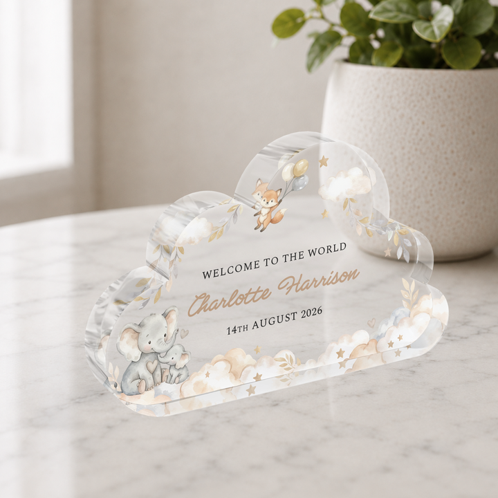 Personalised Welcome to the World Cloud Plaque Keepsake