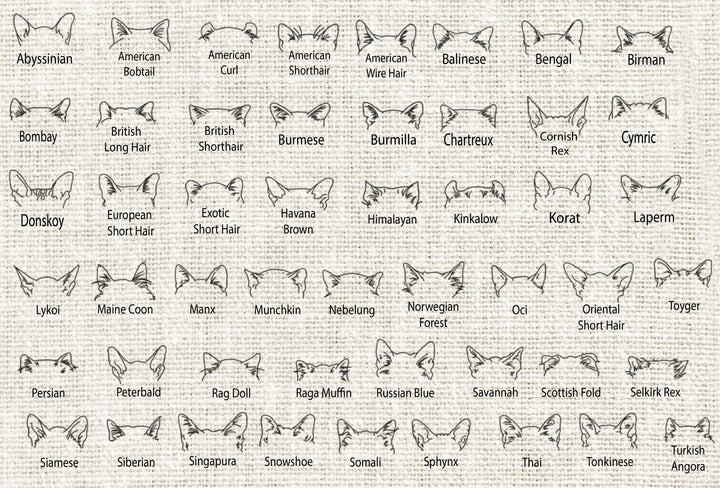 Custom Embroidered Cat Ears with Pet Name Sweatshirt Hoodie - Gifts Handmade
